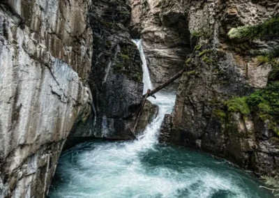 A cascading waterfall pours into a turquoise pool, framed by rugged stone cliffs and lush greenery. A fallen tree adds contrast