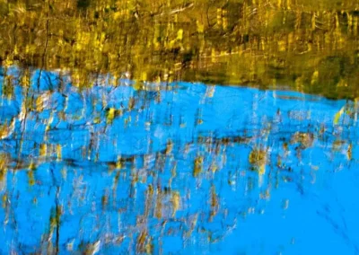 Reflection of golden foliage on a vibrant blue surface, creating an abstract blend of colors and textures in nature