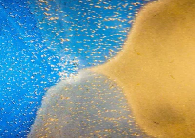 Abstract aerial view of a serene beach where golden sand meets tranquil blue water, flecked with shimmering light reflections