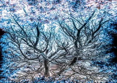 A surreal tree with intricate, bare branches and vibrant blue-tinted leaves glows against a dark background
