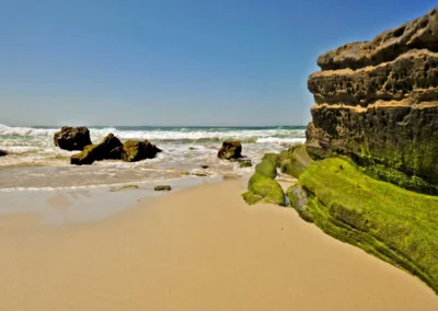 Serene beach scene featuring soft sand, green moss-covered rocks, gentle waves, and a clear blue sky in the background